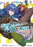 迷宮狂走曲　～エロゲ世界なのにエロそっちのけでひたすら最強を目指すモブ転生者～　２　　パッケージ