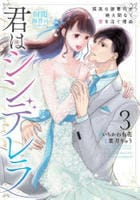 君はシンデレラ～孤高な御曹司が絶え間なく愛を注ぐ理由～【財閥御曹司シリーズ】　３　　パッケージ