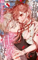 お嬢様はお仕置きが好き　１１　　パッケージ