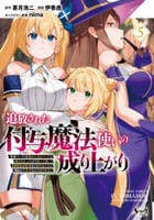 追放された付与魔法使いの成り上がり～勇者パーティを陰から支えていたと知らなかったので戻って来い？【剣聖】と【賢者】の美少女たちに囲まれて幸せなので戻りません～　５　　パッケージ