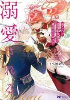 売られた辺境伯令嬢は隣国の王太子に溺愛される　１３　　パッケージ