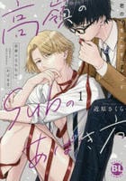 高嶺のＳｕｂのあばき方　～君の心をとかすコマンド～　　パッケージ