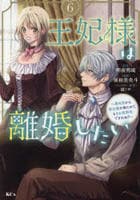 王妃様は離婚したい　～異世界から聖女様が来たので、もうお役御免ですわね？～　６　　パッケージ