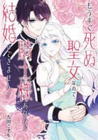 もうすぐ死ぬ聖女なので、騎士様あなたと結婚はできません！　　パッケージ