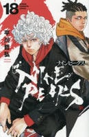 ナインピークス　ＮＩＮＥ　ＰＥＡＫＳ　１８　　パッケージ