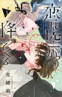 恋は空から降ってくる　３　　パッケージ