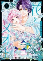 花とメオト―大正溺愛お伽草子―　３　　パッケージ