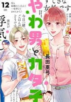 やわ男とカタ子　１２　　パッケージ
