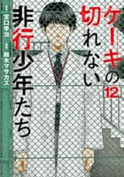 ケーキの切れない非行少年たち　１２　　パッケージ