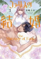 ファリスの結婚　３　　パッケージ