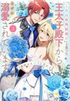 「これは政略結婚だ」と言った王太子殿下からなぜか溺愛されています　３　　パッケージ