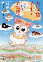 ちいき猫メチャの　ほんわか　大冒険！　　パッケージ