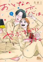 おとなの恋は、やぶさかにつき。　６　　パッケージ