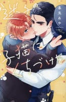 迷子の子猫にくちづけを　　パッケージ