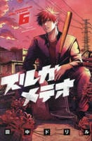 スルガメテオ　６　　パッケージ