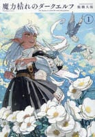 魔力枯れのダークエルフ　１　　パッケージ
