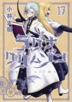 ラグナクリムゾン　１７　　パッケージ