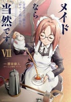 メイドなら当然です。～万能メイド、濡れ衣かぶって旅に出る。～　７　　パッケージ