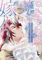 できそこない魔女の嫁入り～かつての弟子からこじらせ溺愛されて成り上がります～　３　　パッケージ