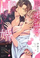 絶倫オジサマと、濃蜜Ｈなワケあり婚　　パッケージ