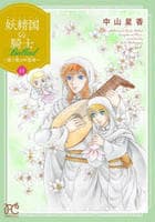 妖精国の騎士Ｂａｌｌａｄ～継ぐ視の守護者～　１１　　パッケージ