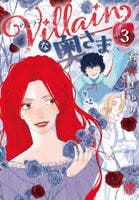 Ｖｉｌｌａｉｎな奥さま　３　　パッケージ