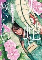大蛇に嫁いだ娘　８　　パッケージ