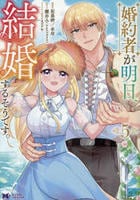 婚約者が明日、結婚するそうです。　５　　パッケージ