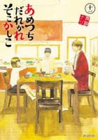 あめつちだれかれそこかしこ　１１　　パッケージ