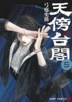 天傍台閣　５　　パッケージ