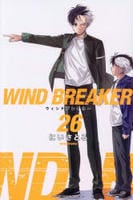 ＷＩＮＤ　ＢＲＥＡＫＥＲ　２６　　パッケージ
