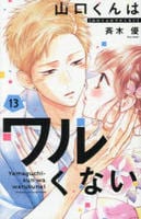 山口くんはワルくない　１３　　パッケージ