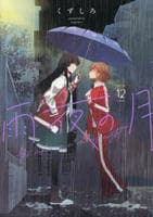 雨夜の月　１２　　パッケージ