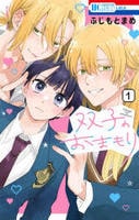 双子のおまもり　１　　パッケージ