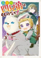 元貴族の四兄弟はくじけない！　～ちびっ子だけどおっきなもふもふと一緒に大切な家族をまもるのら！～　３　　パッケージ