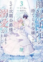 離縁予定の捨てられ令嬢ですが、なぜか次期公爵様の溺愛が始まりました　３　　パッケージ