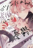 ツンにゃん虎徹くんの憂鬱　　パッケージ