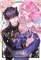 のけもの恋がたり～稀血の娘とあやかし狐～　３　　パッケージ