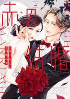 赤の結婚　４　　パッケージ
