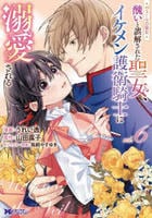 ヴェールの聖女～醜いと誤解された聖女、イケメン護衛騎士に溺愛される～　６　　パッケージ