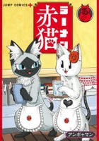 ラーメン赤猫　１５　　パッケージ