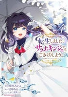 転生しました、サラナ・キンジェです。ごきげんよう。　～優雅なスローライフで大忙し～　４　　パッケージ