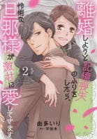 離婚しようと記憶喪失のふりをしたら、怜悧な旦那様が激甘に愛してきます　２　　パッケージ