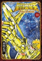 聖闘士星矢　Ｆｉｎａｌ　Ｅｄｉｔｉｏｎ　１４　　パッケージ