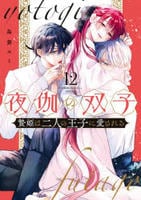 夜伽の双子―贄姫は二人の王子に愛される―　１２　　パッケージ
