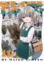 スローループ　１１　　パッケージ