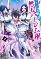 くじ引き特賞：無双ハーレム権　１３　　パッケージ