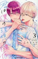 君は僕の理想の彼氏　３　　パッケージ