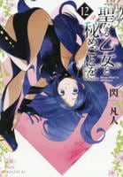 聖なる乙女と秘めごとを　１２　　パッケージ