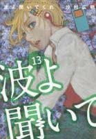 波よ聞いてくれ　１３　　パッケージ